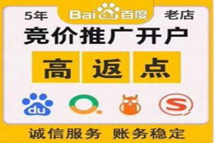 某电商平台的SEM竞价专员成功案例分享